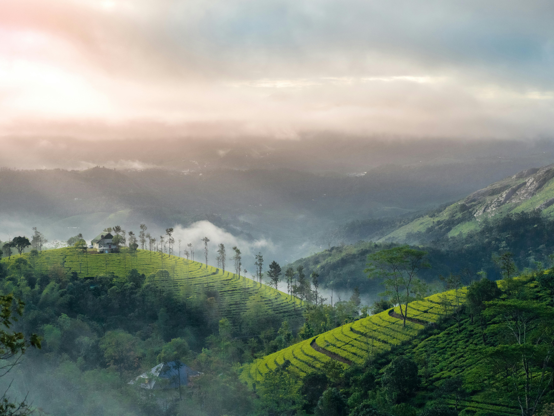 Private Walking Tour with a Local