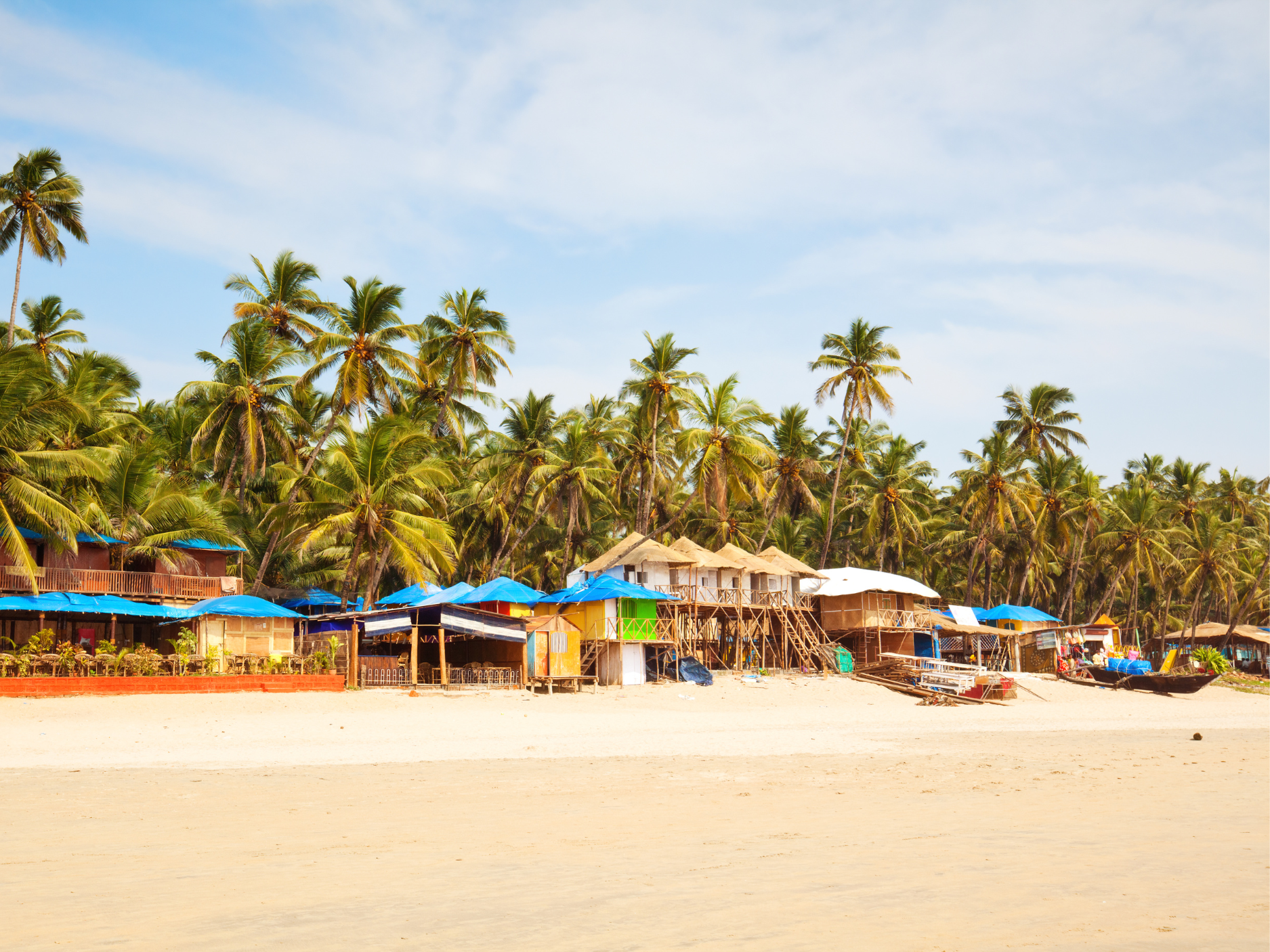 Louvre Museum Timed-Entrance Ticket
