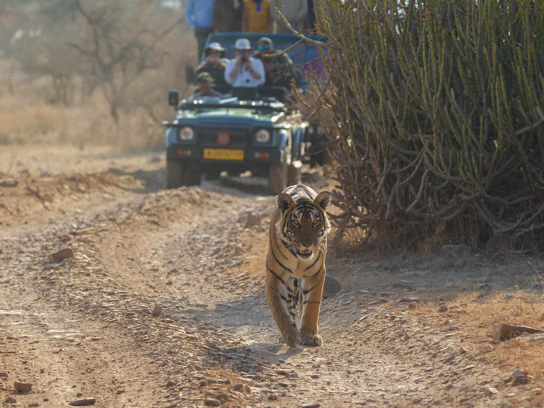 Golden Stones Beaujolais Wine Tasting Tour