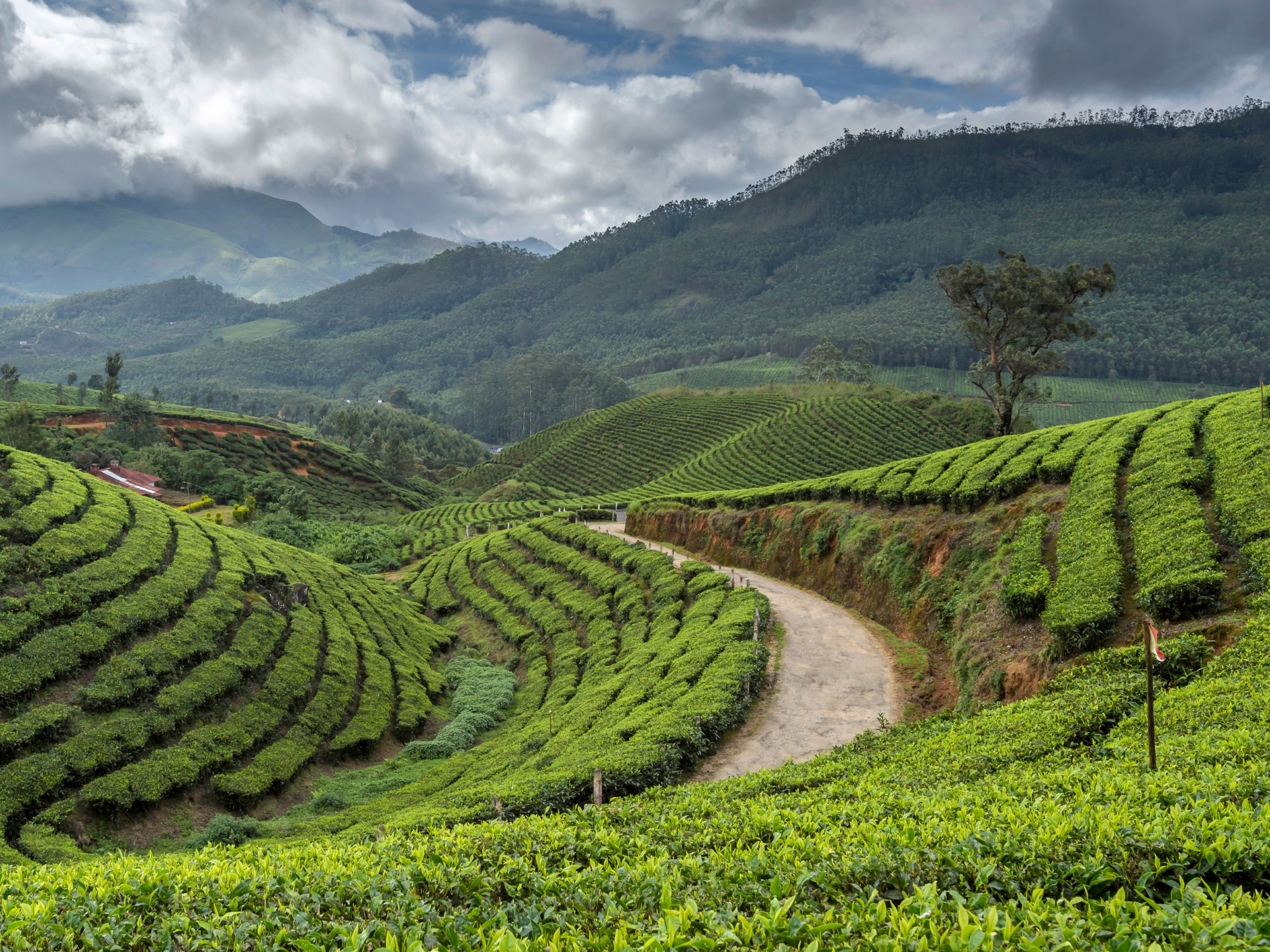 1-Day Niagara Falls Tour